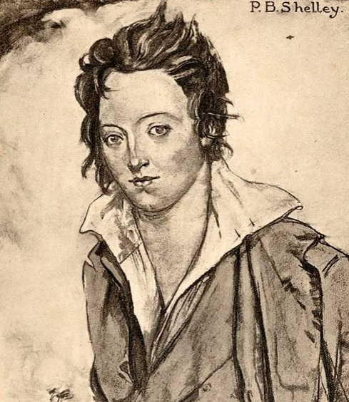 “The obscure parts of my own nature”: Did Percy Bysshe Shelley suffer from a personality disorder?